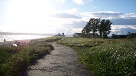 9.5 Hours of Seattle Adventure Small Group Tour with Walking, Cycling and Paddling